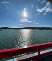 東大生の家庭教師