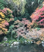 東大生の家庭教師