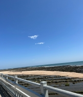 東大生の家庭教師