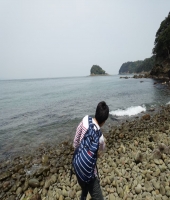 東大生の家庭教師