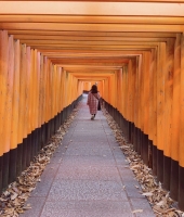 東大生の家庭教師