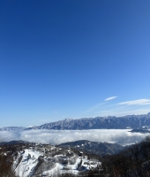 東大生の家庭教師