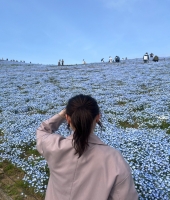 東大生の家庭教師