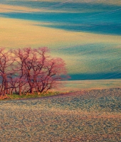 東大生の家庭教師