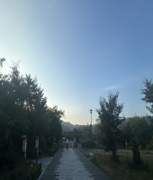 東大生の家庭教師