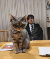 東大生の家庭教師