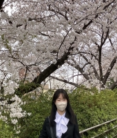 東大生の家庭教師