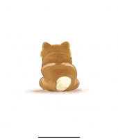 東大生の家庭教師