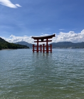 東大生の家庭教師