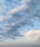 東大生の家庭教師