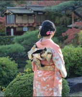 東大生の家庭教師