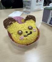 東大生の家庭教師