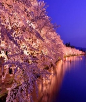 東大生の家庭教師