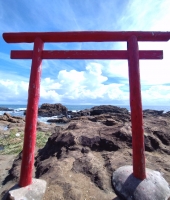 東大生の家庭教師
