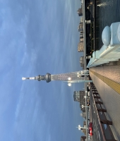 東大生の家庭教師