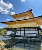 東大生の家庭教師