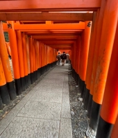 東大生の家庭教師