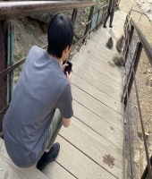 東大生の家庭教師