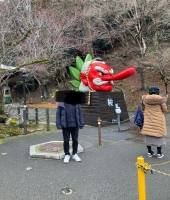 東大生の家庭教師