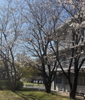 東大生の家庭教師