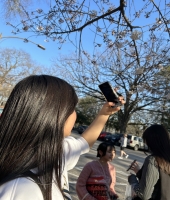 東大生の家庭教師