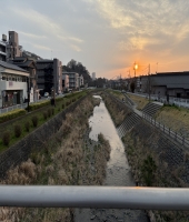 東大生の家庭教師