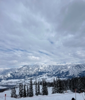 東大生の家庭教師