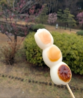 東大生の家庭教師