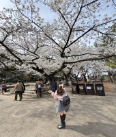 東大生の家庭教師