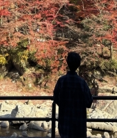 東大生の家庭教師