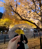 東大生の家庭教師