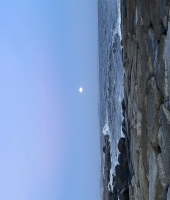 東大生の家庭教師