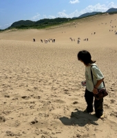 東大生の家庭教師