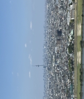 東大生の家庭教師