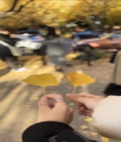 東大生の家庭教師