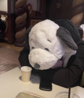 東大生の家庭教師