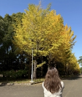 東大生の家庭教師