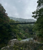 東大生の家庭教師