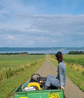 東大生の家庭教師