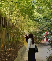 東大生の家庭教師