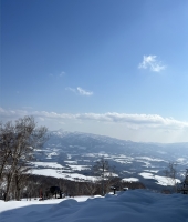 東大生の家庭教師