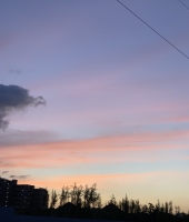 東大生の家庭教師