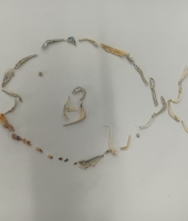 東大生の家庭教師