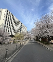 東大生の家庭教師