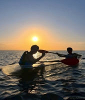 東大生の家庭教師