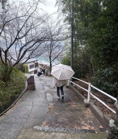 東大生の家庭教師