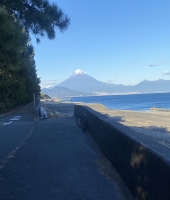 東大生の家庭教師