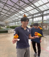 東大生の家庭教師