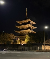 東大生の家庭教師