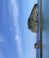 東大生の家庭教師